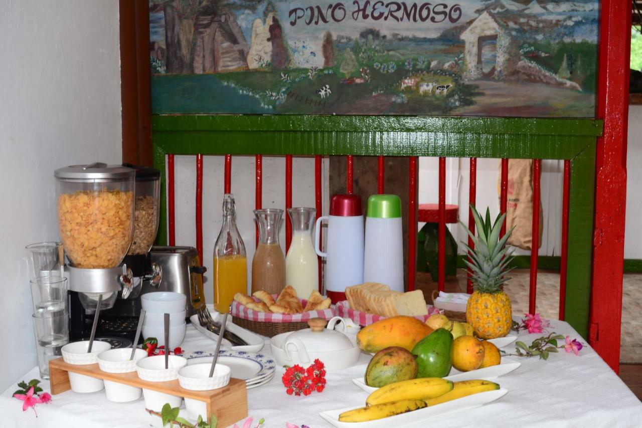 Ecohotel Pinohermoso Reserva Natural Salento Exterior photo